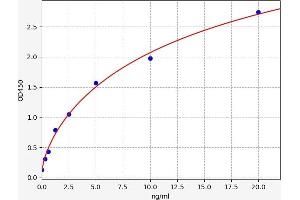 Prokineticin Receptor 2 ELISA Kit