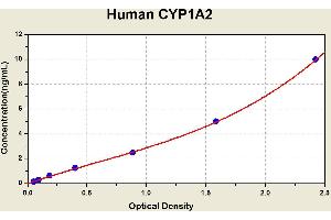 Diagramm of the ELISA kit to detect Human CYP1A2with the optical density on the x-axis and the concentration on the y-axis.