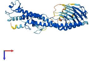 Protein Structure (PS) image for Tripartite Motif Containing 49B (TRIM49B) (AA 1-452) protein (His tag) (ABIN7544734)
