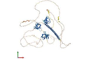 AlphaFold protein structure predicition of Mouse Recombinant Cd2ap Protein, UniprotID Q9JLQ0 (CD2AP Protein (AA 1-637) (His tag))