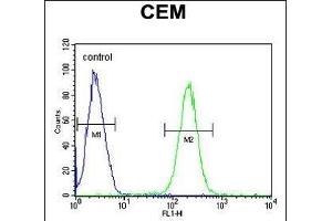 5HT3E Antibody (Center) (ABIN654485 and ABIN2844220) flow cytometric analysis of CEM cells (right histogram) compared to a negative control cell (left histogram). (HTR3E antibody  (AA 126-154))