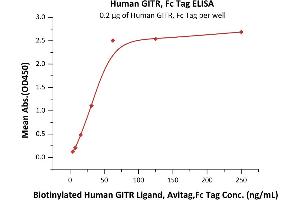 Immobilized Human GITR, Fc Tag (ABIN5954929,ABIN6253604) at 2 μg/mL (100 μL/well) can bind Biotinylated Human GITR Ligand, Avitag,Fc Tag (ABIN5954942,ABIN6253603) with a linear range of 4-63 ng/mL (QC tested). (TNFRSF18 Protein (AA 26-161) (Fc Tag))