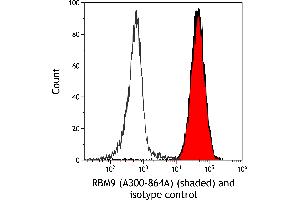 Flow Cytometry (FACS) image for anti-RNA Binding Motif Protein 9 (RBM9) (AA 1-50) antibody (ABIN7454680) (RBM9 antibody  (AA 1-50))
