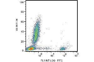 Surface staining of human peripheral blood with anti-CD20 (2H7) FITC. (CD20 antibody  (Biotin))
