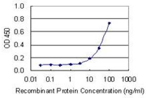 Detection limit for recombinant GST tagged NOS3 is 3 ng/ml as a capture antibody. (ENOS antibody  (AA 61-160))
