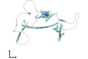 AlphaFold protein structure predicition of Mouse Recombinant Cactin Protein, UniprotID Q9CS00
