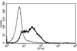 A typical staining pattern with the B-L2 monoclonal antibody of lymphocytes (CD82 antibody)