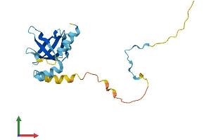 AlphaFold protein structure predicition of Human Recombinant EIF1AD Protein, UniprotID Q8N9N8