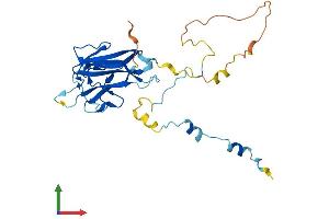 Protein Structure (PS) image for Family with Sequence Similarity 125, Member A (FAM125A) (AA 1-273) protein (His tag) (ABIN7549294)