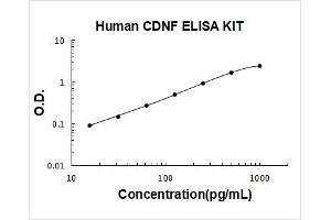 Cerebral Dopamine Neurotrophic Factor (CDNF) ELISA Kit