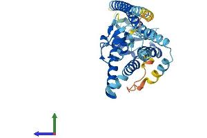 AlphaFold protein structure predicition of Human Recombinant PEX10 Protein, UniprotID O60683