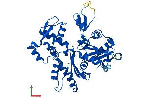 AlphaFold protein structure predicition of Mouse Recombinant Actb Protein, UniprotID P60710 (beta Actin Protein (AA 1-375) (His tag))