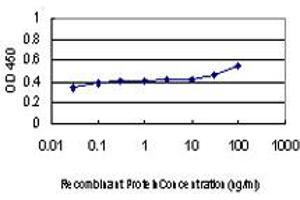 Detection limit for recombinant GST tagged DLX2 is approximately 0. (DLX2 antibody  (AA 1-110))