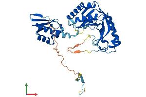 AlphaFold protein structure predicition of Mouse Recombinant Ascc1 Protein, UniprotID Q9D8Z1 (ASCC1 Protein (AA 1-356) (His tag))