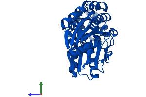 Protein Structure (PS) image for O-Sialoglycoprotein Endopeptidase (OSGEP) (AA 1-335) protein (His tag) (ABIN7558974)