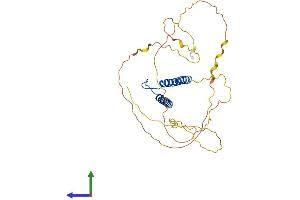 AlphaFold protein structure predicition of Human Recombinant TAL1 Protein, UniprotID P17542 (TAL1 Protein (AA 1-331) (His tag))