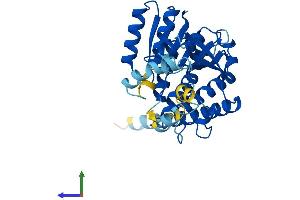 AlphaFold protein structure predicition of Human Recombinant HSD17B7 Protein, UniprotID P56937 (HSD17B7 Protein (AA 1-341) (His tag))