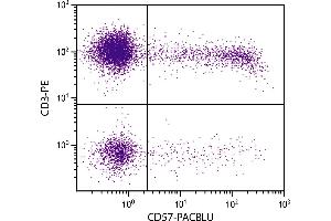 Human peripheral blood lymphocytes were stained with Mouse Anti-Human CD57-PACBLU. (CD57 antibody)