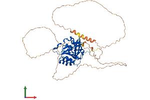 AlphaFold protein structure predicition of Mouse Recombinant Ctdspl2 Protein, UniprotID Q8BG15 (CTDSPL2 Protein (AA 1-465) (His tag))