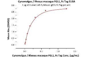 Immobilized Human LAG-3, Mouse IgG2a Fc Tag (ABIN5674633,ABIN6253716) at 10 μg/mL (100 μL/well) can bind Cynomolgus / Rhesus macaque FGL1, Fc Tag (ABIN6933654,ABIN6938820) with a linear range of 0. (FGL1 Protein (AA 23-312) (Fc Tag))