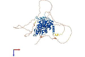 CDC14A Protein (AA 1-594) (His tag)