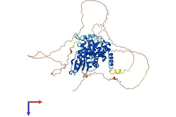 CDC14A Protein (AA 1-594) (His tag)