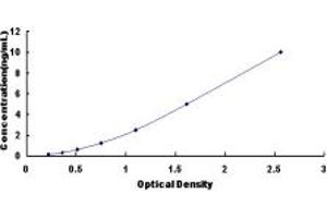 ATP4b ELISA Kit