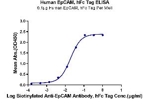 Immobilized Human EpCAM, hFc Tag at 1 μg/mL (100 μL/well) on the plate. (EpCAM Protein (AA 24-265) (Fc Tag))
