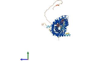 Protein Structure (PS) image for Junction Plakoglobin (JUP) (AA 1-745) protein (His tag) (ABIN7563581)