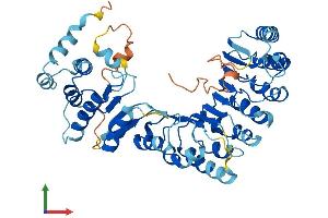 AlphaFold protein structure predicition of Human Recombinant PRAMEF18 Protein, UniprotID Q5VWM3 (PRAMEF18 Protein (AA 1-479) (His tag))