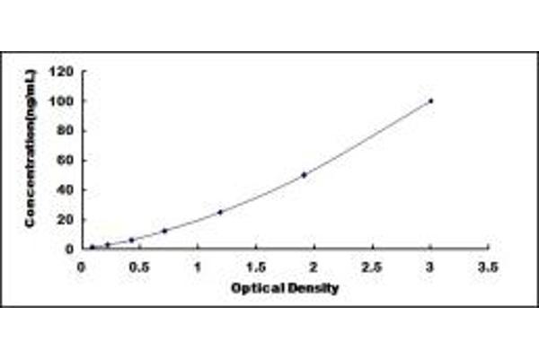 GGT5 ELISA Kit