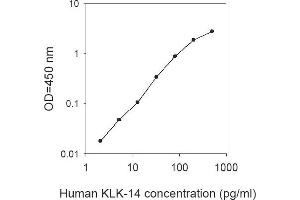 ELISA image for Kallikrein 14 (KLK14) ELISA Kit (ABIN2703282) (Kallikrein 14 ELISA Kit)