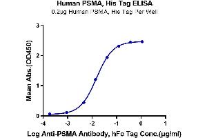 Immobilized Human PSMA, His Tag at 2 μg/mL (100 μL/Well) on the plate. (PSMA Protein (AA 44-750) (His tag))