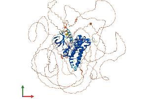Protein Structure (PS) image for Homeodomain Interacting Protein Kinase 2 (HIPK2) (AA 1-1198) protein (His tag) (ABIN7554115)