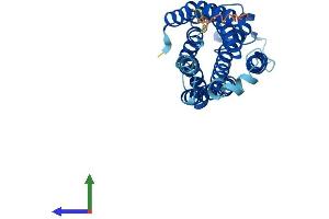 Protein Structure (PS) image for Free Fatty Acid Receptor 1 (FFAR1) (AA 1-300) protein (His tag) (ABIN7558165)