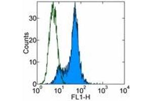 Image no. 1 for anti-Adhesion Molecule, Interacts with CXADR Antigen 1 (AMICA1) antibody (ABIN476027) (JAML antibody)