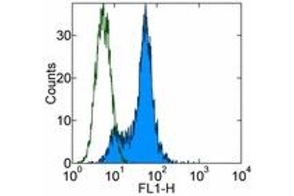 JAML antibody