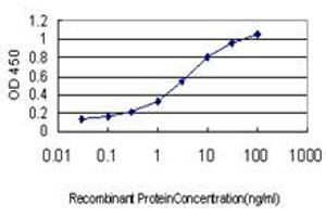 Detection limit for recombinant GST tagged ERH is approximately 0. (ERH antibody  (AA 1-104))