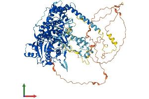 Protein Structure (PS) image for 5'-3' Exoribonuclease 2 (XRN2) (AA 1-950) protein (His tag) (ABIN7556047)