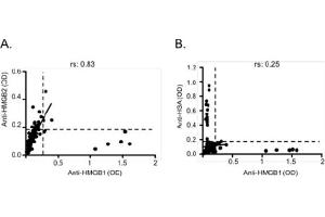 Correlation between anti-HMGB1 and anti-HMGB2 (A), and anti-HSA (B) IgG titers. (Rabbit anti-Human IgG (Heavy & Light Chain) Antibody (HRP))