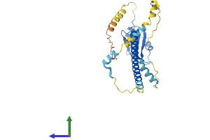 Protein Structure (PS) image for Activator of Basal Transcription 1 (Abt1) (AA 1-272) protein (His tag) (ABIN7551875)