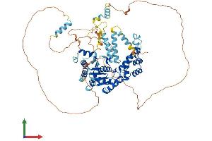 Protein Structure (PS) image for Fidgetin-Like 1 (FIGNL1) (AA 1-674) protein (His tag) (ABIN7547611)