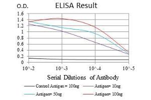 Black line: Control Antigen (100 ng), Purple line: Antigen(10 ng), Blue line: Antigen (50 ng), Red line: Antigen (100 ng), (RPS6KB1 antibody)