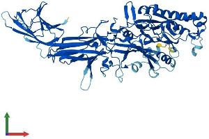 AlphaFold protein structure predicition of Human Recombinant PADI2 Protein, UniprotID Q9Y2J8 (PADI2 Protein (AA 1-665) (His tag))
