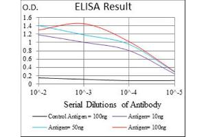 ELISA image for anti-TNF Receptor Superfamily, Member 6 (FAS) antibody (ABIN1845671) (FAS antibody)