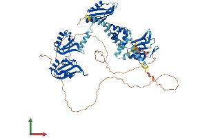 AlphaFold protein structure predicition of Mouse Recombinant Pabpc1 Protein, UniprotID P29341 (PABP Protein (AA 1-636) (His tag))