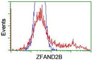Flow Cytometry (FACS) image for anti-Zinc Finger, AN1-Type Domain 2B (ZFAND2B) antibody (ABIN1501807) (ZFAND2B antibody)