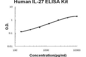 Human IL-27 PicoKine ELISA Kit standard curve