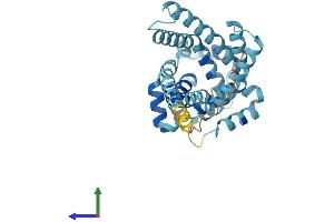 AlphaFold protein structure predicition of Mouse Recombinant Slc25a29 Protein, UniprotID Q8BL03 (SLC25A29 Protein (AA 1-306) (His tag))