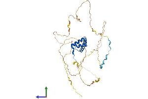 AlphaFold protein structure predicition of Human Recombinant HOXA10 Protein, UniprotID P31260 (HOXA10 Protein (AA 1-410) (His tag))